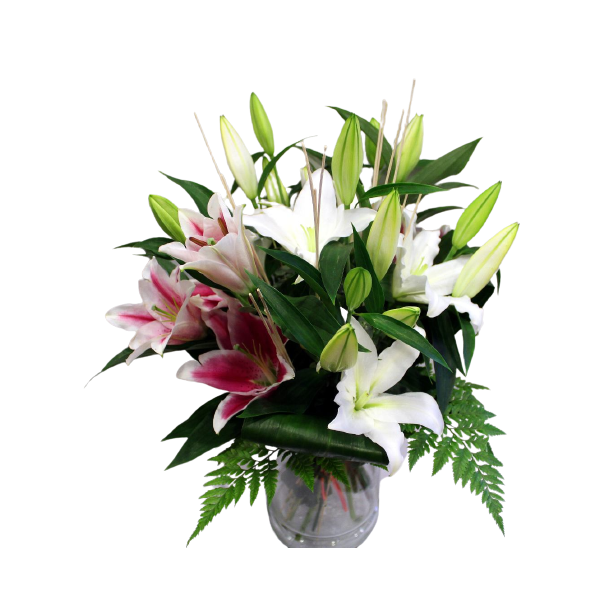 Bouquet de lilium blanco y rosa