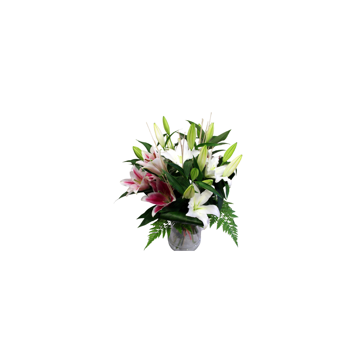 Bouquet de lilium blanco y rosa