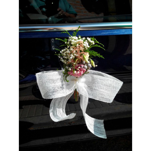 Lazo para puertas de coches