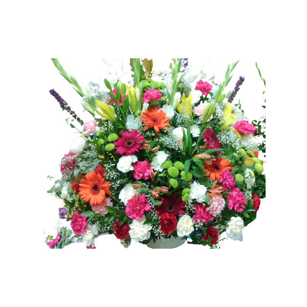 Centro de cara variado