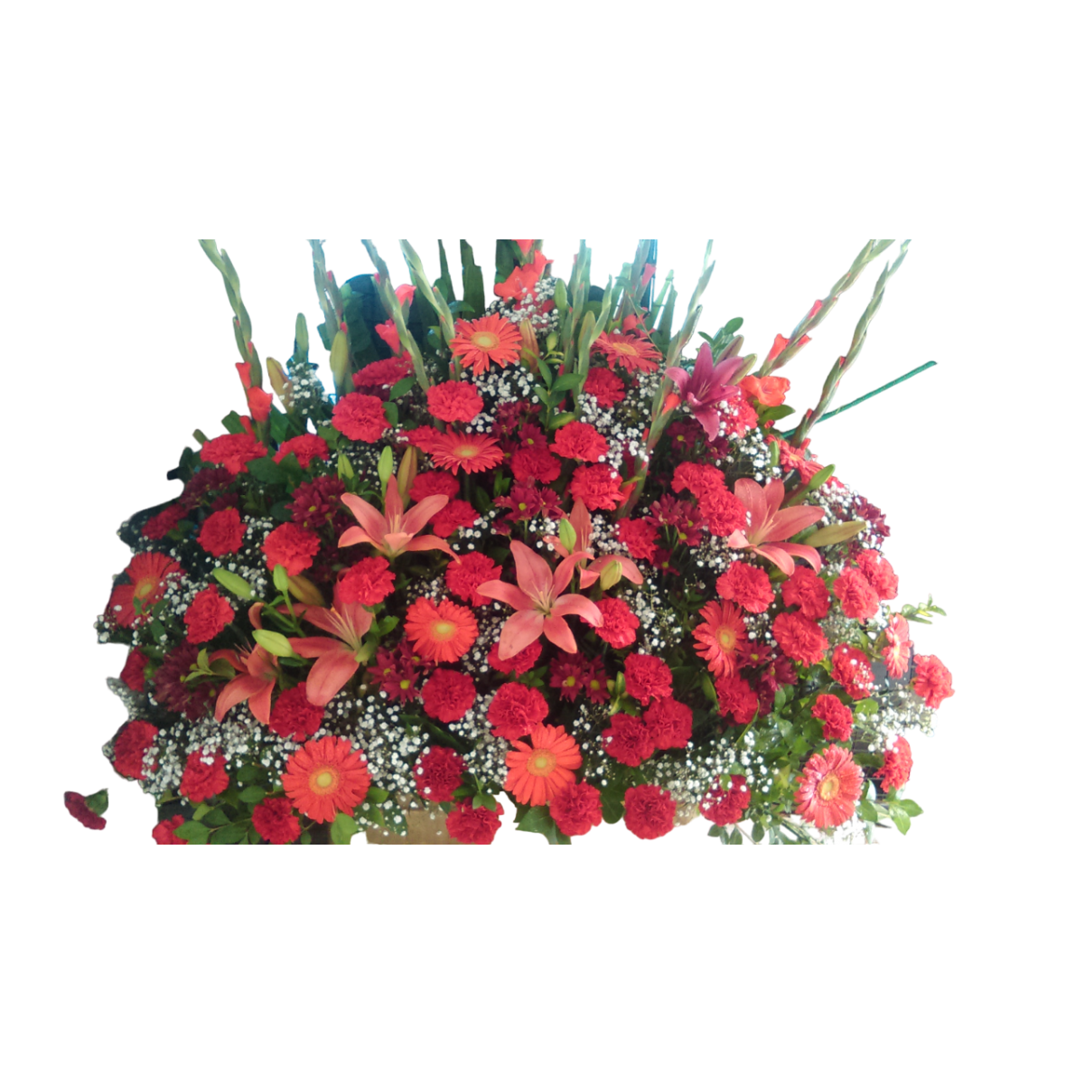 Centro de cara de color rojo