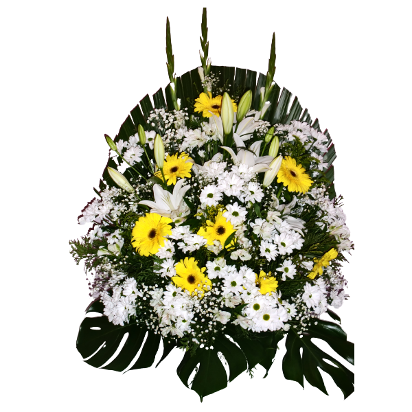 Centro frontal blanco y amarillo