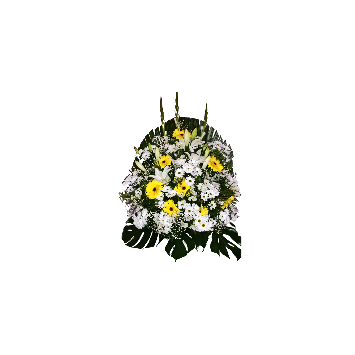 Centro frontal blanco y amarillo