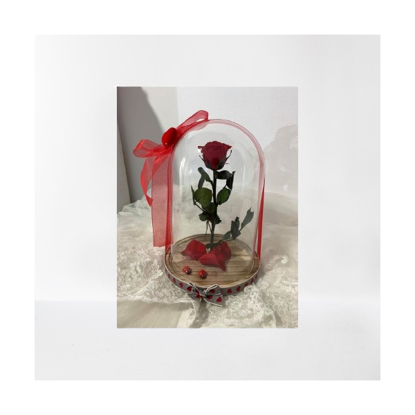 Cupula con rosa preservada grande