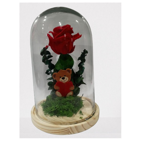 Cupula con rosa preservada mediana