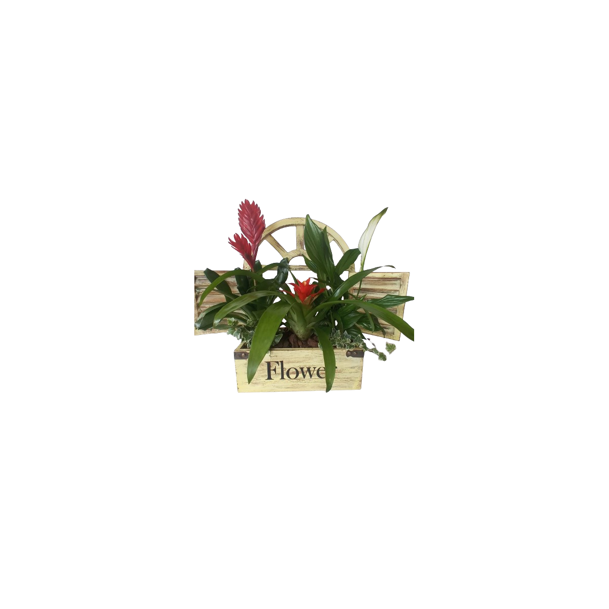 Cajita de Plantas
