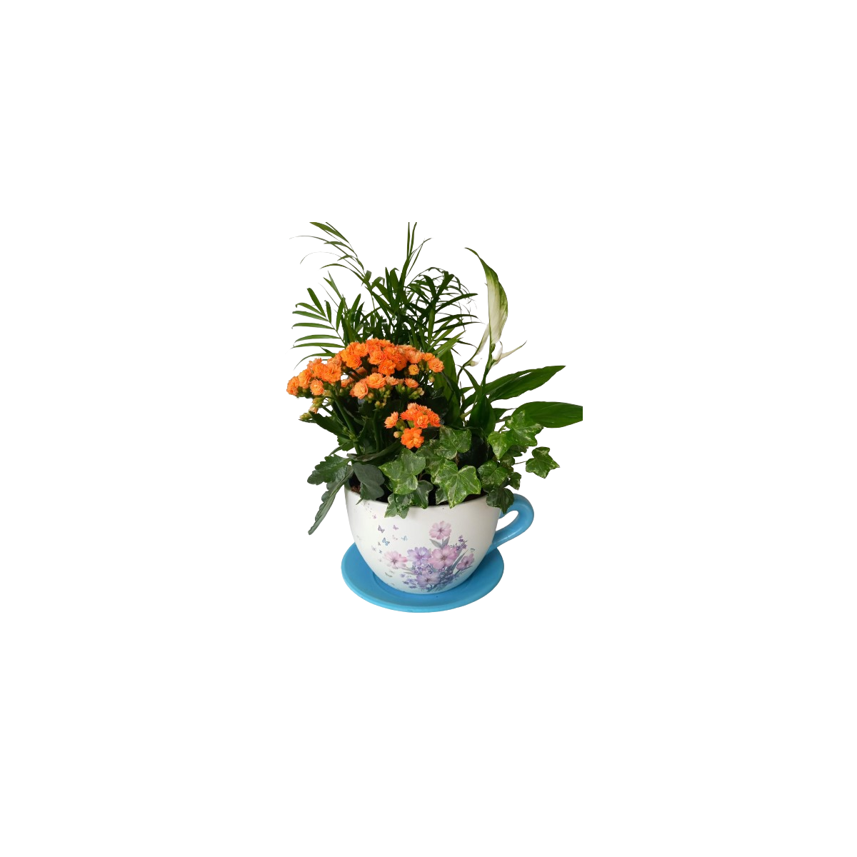 Taza de plantas naturales