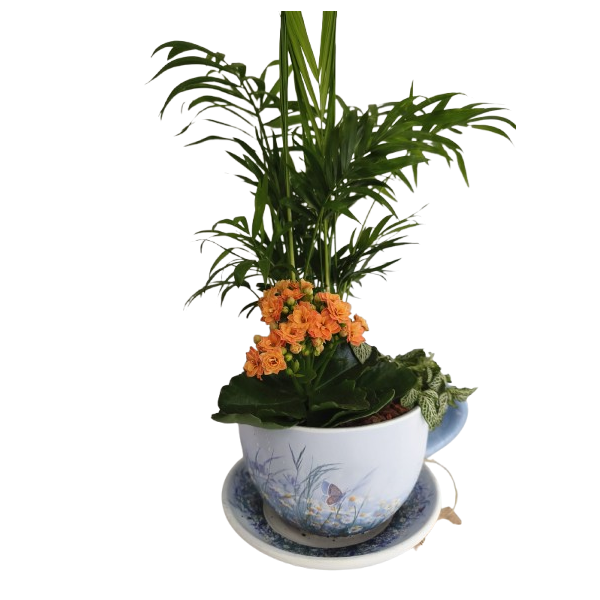 Taza pequeña  de plantas naturales