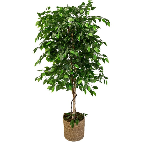 Arbol de ficus artificial.