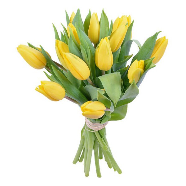 Bouquet de tulipanes