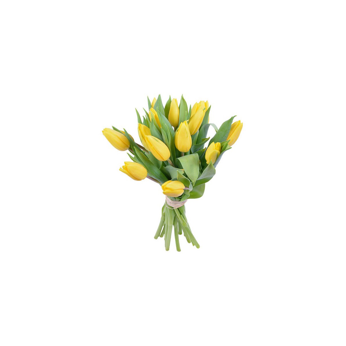 Bouquet de tulipanes