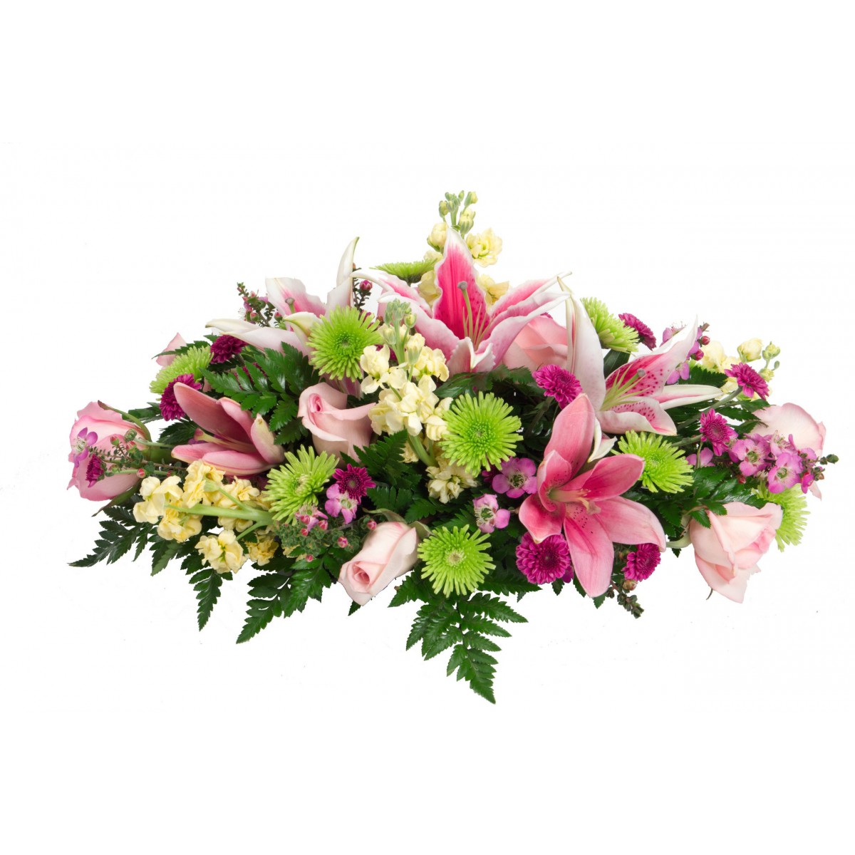 Centro ovalado silvestre