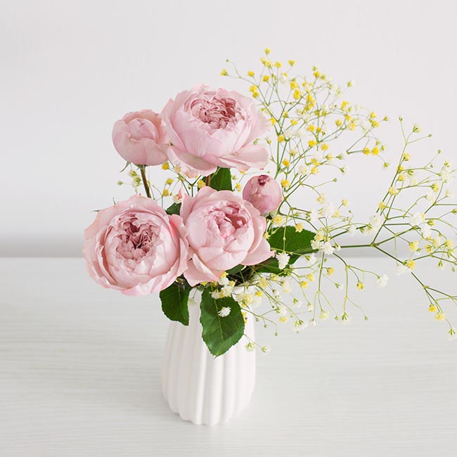 Centros Artificiales